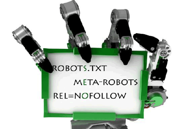تنظیم فایل Robots.txt در سئو در وردپرس