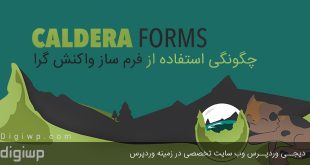 caldera-forms-wordpress-Digiwp