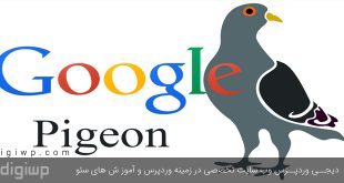 الگوریتم کبوتر گوگل چیست و هر آنچه در مورد آن باید بدانید